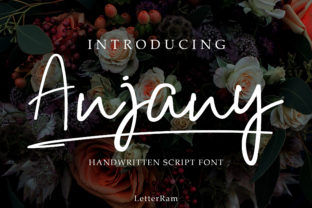 Anjany: A Modern Script Font for Bold Branding