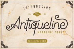 Antiqueline: A Premium Monoline Typeface for Web Design