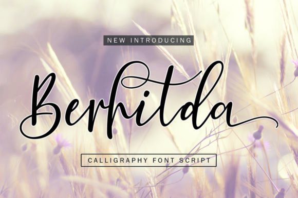 Berhilda: The Perfect Modern Calligraphy Font for Crafters