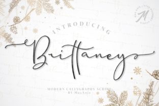 Brittaney: A Modern Font for Professional Branding