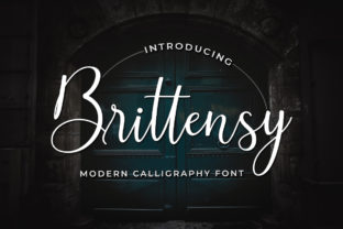 Brittensy: A Modern Script Font for Campaigns