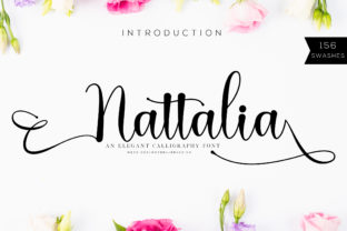 Nattalia: A Chic Script Font for Modern Web Design