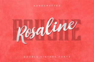 Rosalina Boushe Duo: A Versatile Typeface for Web Design