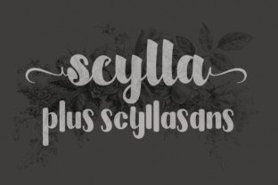 Scylla: A Designer's Review for Real Brand Work