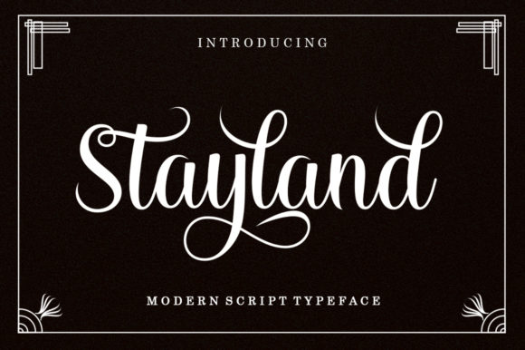 Stayland: A Modern Script Typeface for Campaigns
